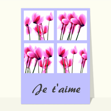 La St Valentin  avec des orchidées