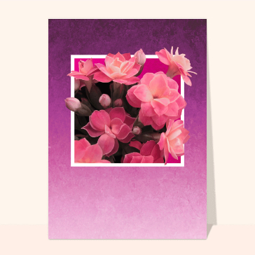 Fleurs pour les amoureux