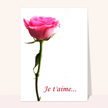 carte saint valentin : Rose je t aime