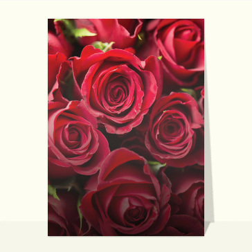 carte saint valentin : Des roses de Saint Valentin