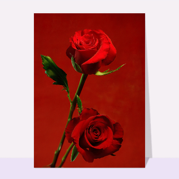 Deux roses pour mon amour