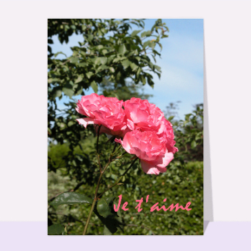 Je t aime