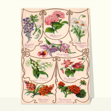 Signification des fleurs