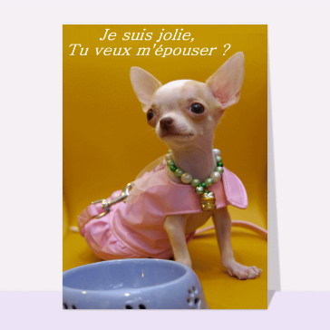 Tu veux m'épouser ?
