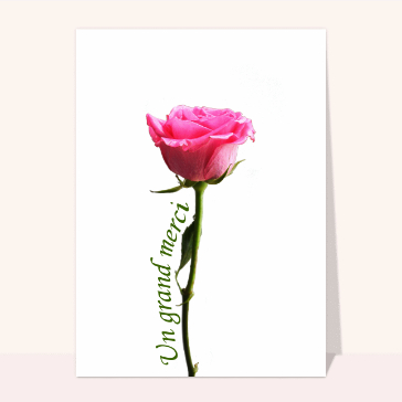 Remerciement mariage sur une rose