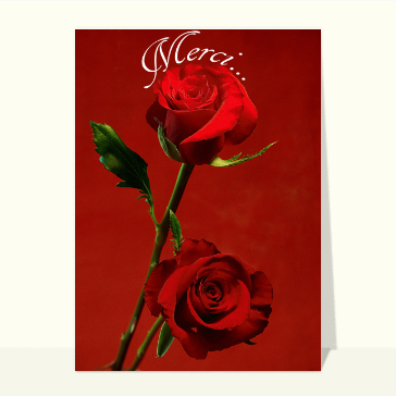 Merci et rose rouge
