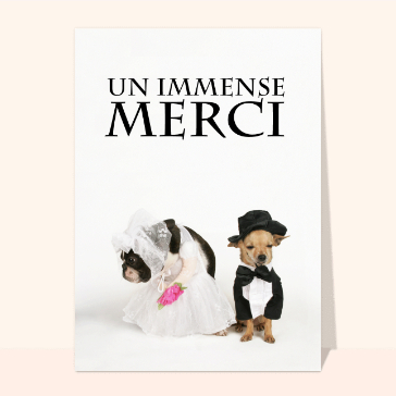 Un immense merci mariage