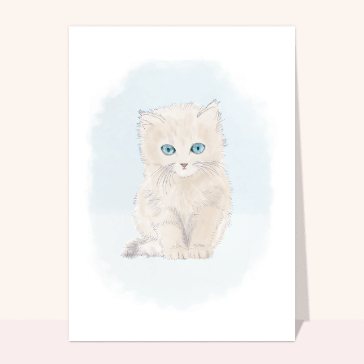 Naissances : Petit chaton sur fond bleu