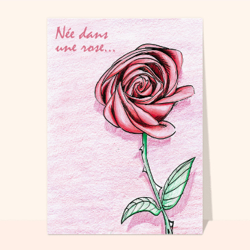Née dans une rose, dessin d'une rose