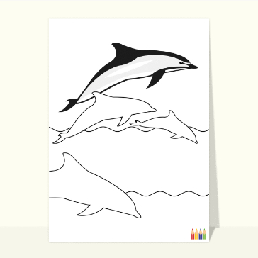 carte coloriage : Coloriage dauphins