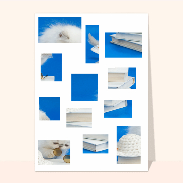 Puzzle petit chaton blanc
