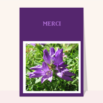 Un simple merci