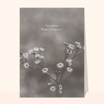 Sincères remerciements noir et blanc