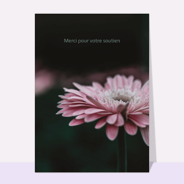 Merci pour votre soutien