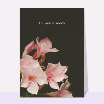 Un grand merci