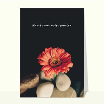 Carte remerciement condoléances : Merci pour votre soutien et fleur rouge