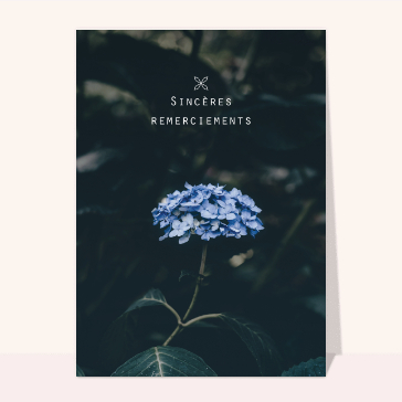 Sincères remerciements et fleur bleu