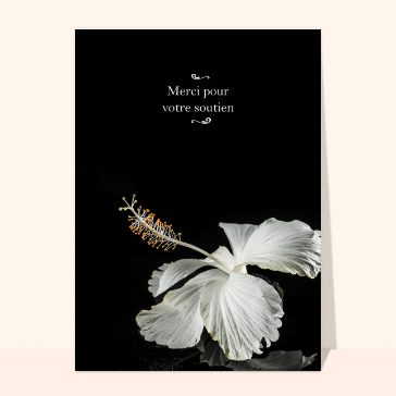 Carte remerciement condoléances : Remerciements condoléances fleur blanche