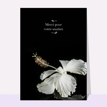 Remerciements condoléances fleur blanche