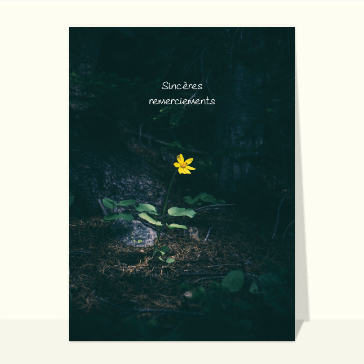 Merci condoléances et fleur jaune
