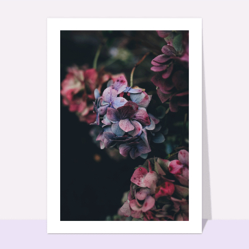 Fleurs merci pour des condoléances