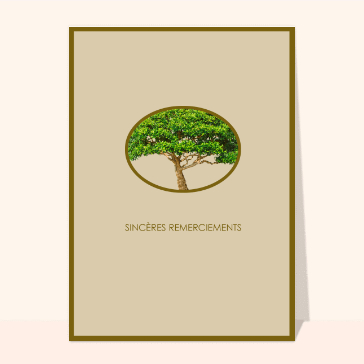 Carte remerciement condoléances : Remerciements et arbre vert