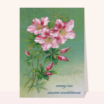 Jolies fleurs roses Cartes condoléances anciennes