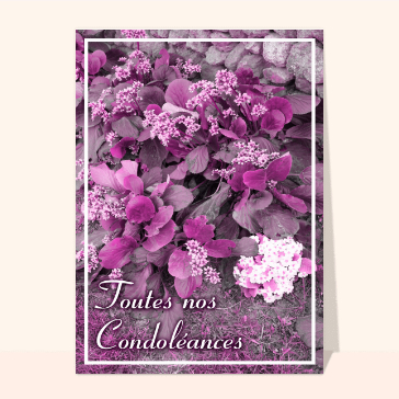 Toutes nos condoleances avec des geraniums