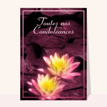 Carte condoléances fleurs : Toutes nos condoléances