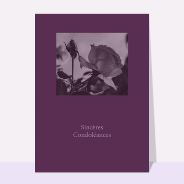Carte condoléances fleurs : Sincères condoléances violet