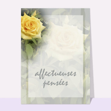 Affectueuses pensées avec une fleur jaune