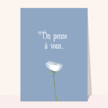 On pense à vous fleur blanche