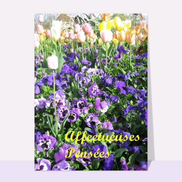 Affectueuses pensees