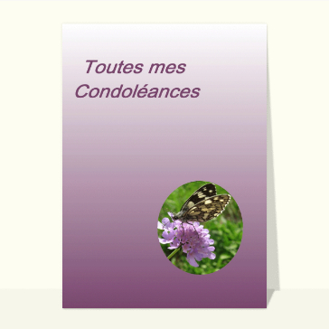 Papillon toutes mes condoleances