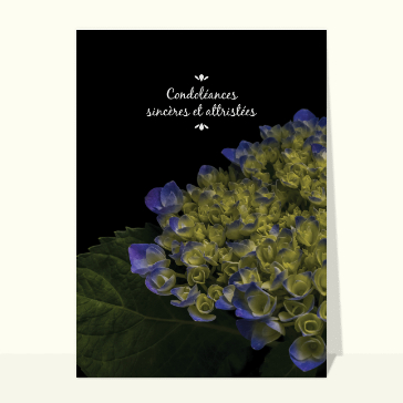 Carte condoléances fleurs : Condoléances sincères et attristées