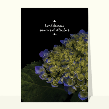 Condoléances sincères et attristées