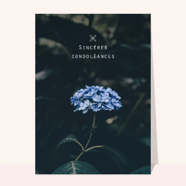 Décès et condoléances : Condoléances et fleur bleu