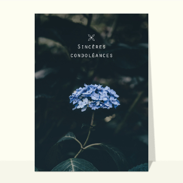 Condoléances et fleur bleu