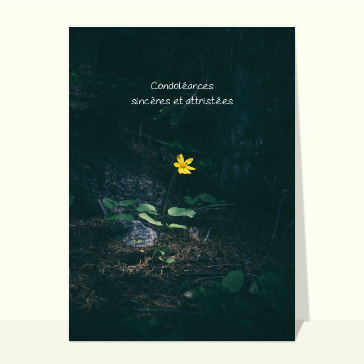 Condoléances sincères et attristées fleur jaune