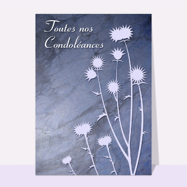 Carte condoléances fleurs : Toutes nos condoleances et chardons