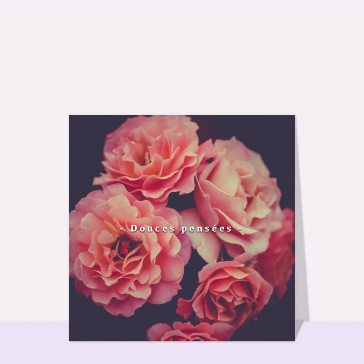 Douces pensées et belles roses