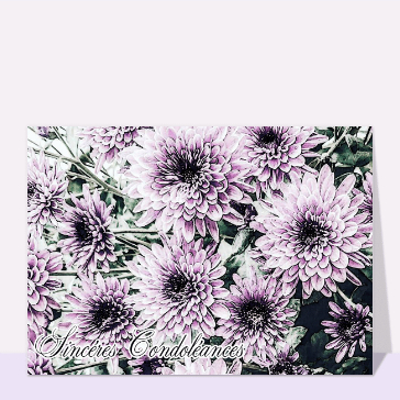 Carte condoléances fleurs : Chrysanthème violet réalisé à l`aquarelle