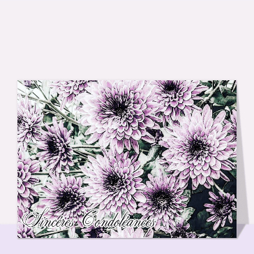 Chrysanthème violet réalisé à l`aquarelle