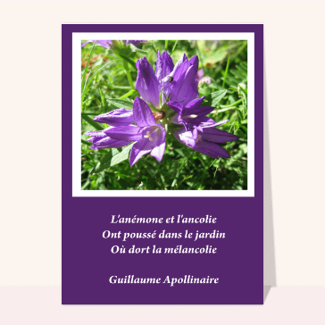 Citation Apollinaire