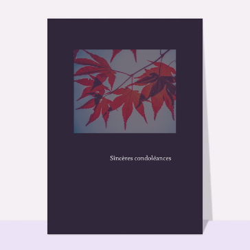 Sincères condoléances érable