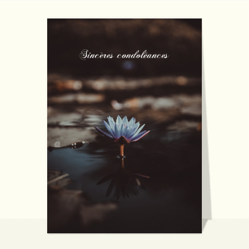 Condoléances et nénuphars