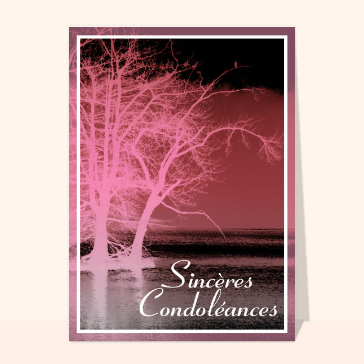 Carte Sincères condoléances arbres sur la berge