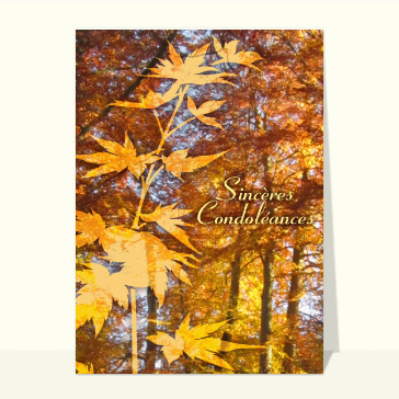 carte condoléances : Condoléances d'automne
