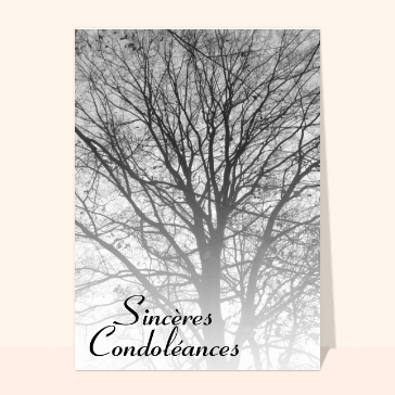 carte condoléances : Sincères condoléances avec un arbre