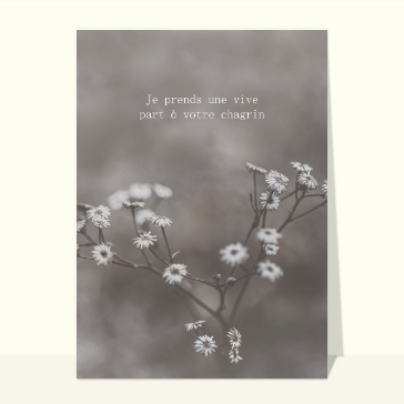 Part à votre chagrin noir et blanc
